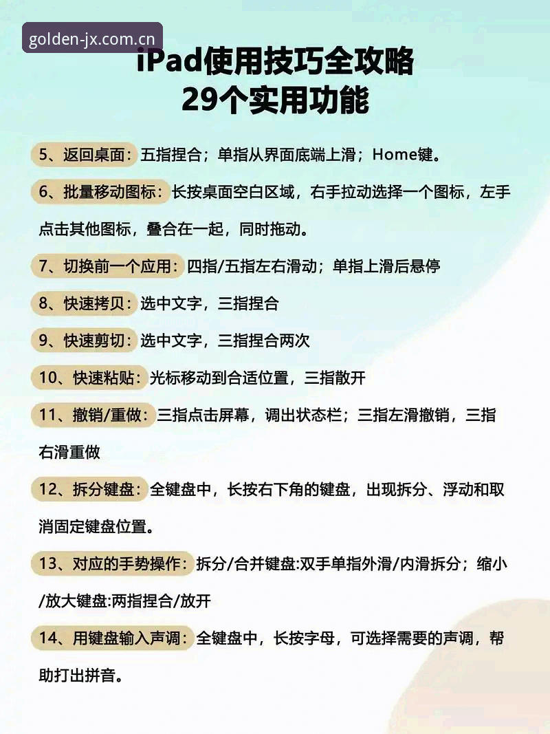 掌握金喜体育平台用户体验的实用技巧，从入门到精通必备知识
